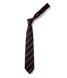 School Tie - Double Stripe (JUNIOR)