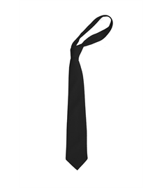 School Tie - Plain (SENIOR)