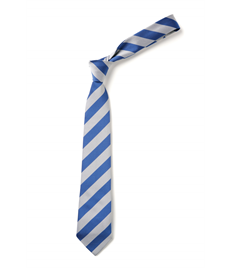 School Tie - Broad Stripe (JUNIOR)