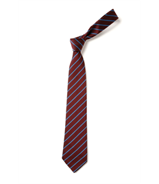 School Tie - Single Stripe (SENIOR)